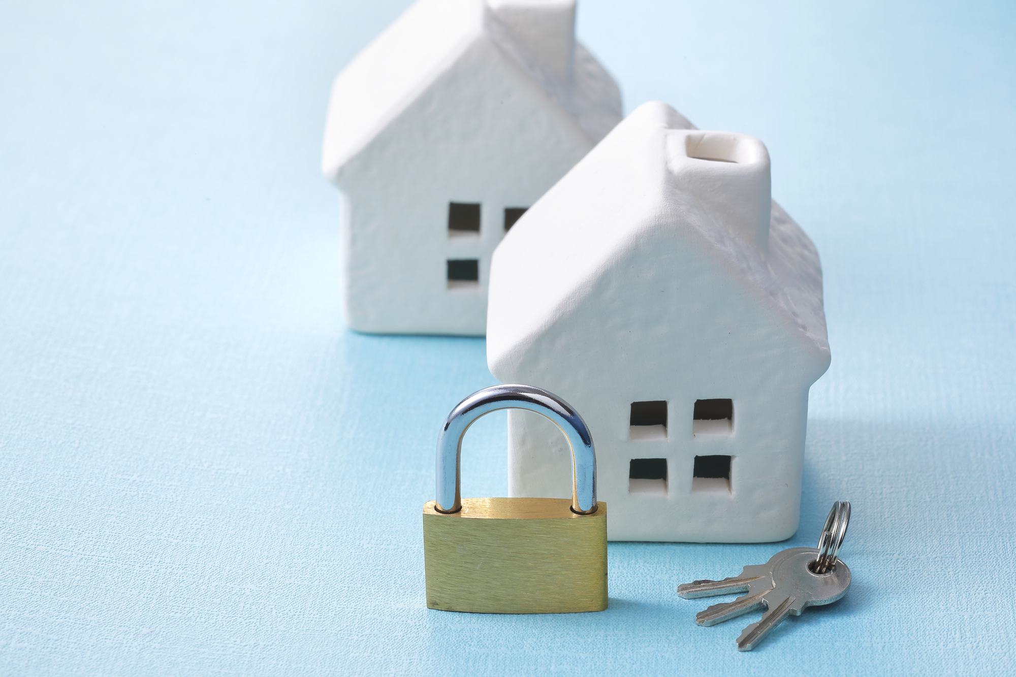 ヨシザキ企画の紹介写真_2枚目