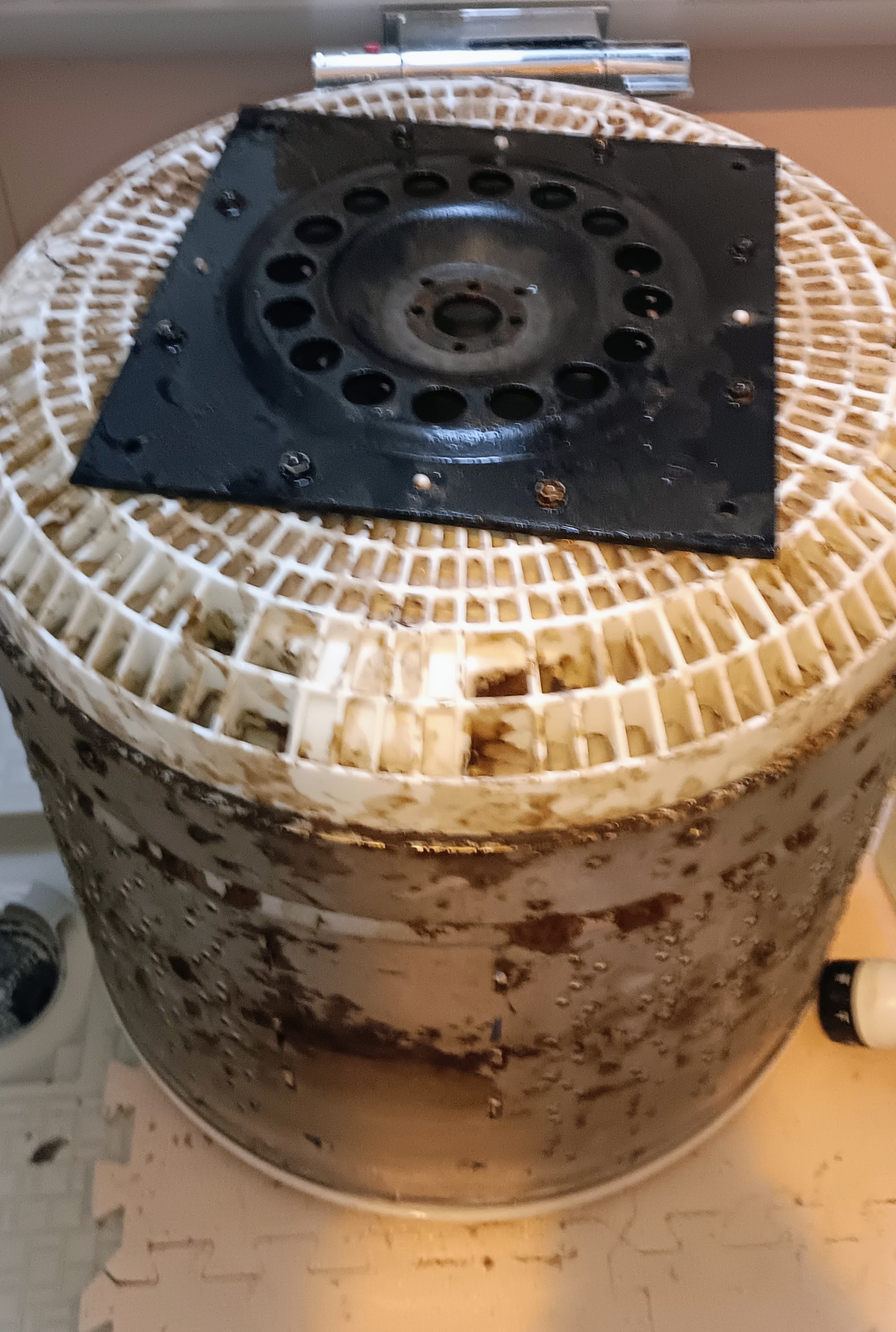 洗濯機『縦型』クリニング（4.5～12キロ)の画像