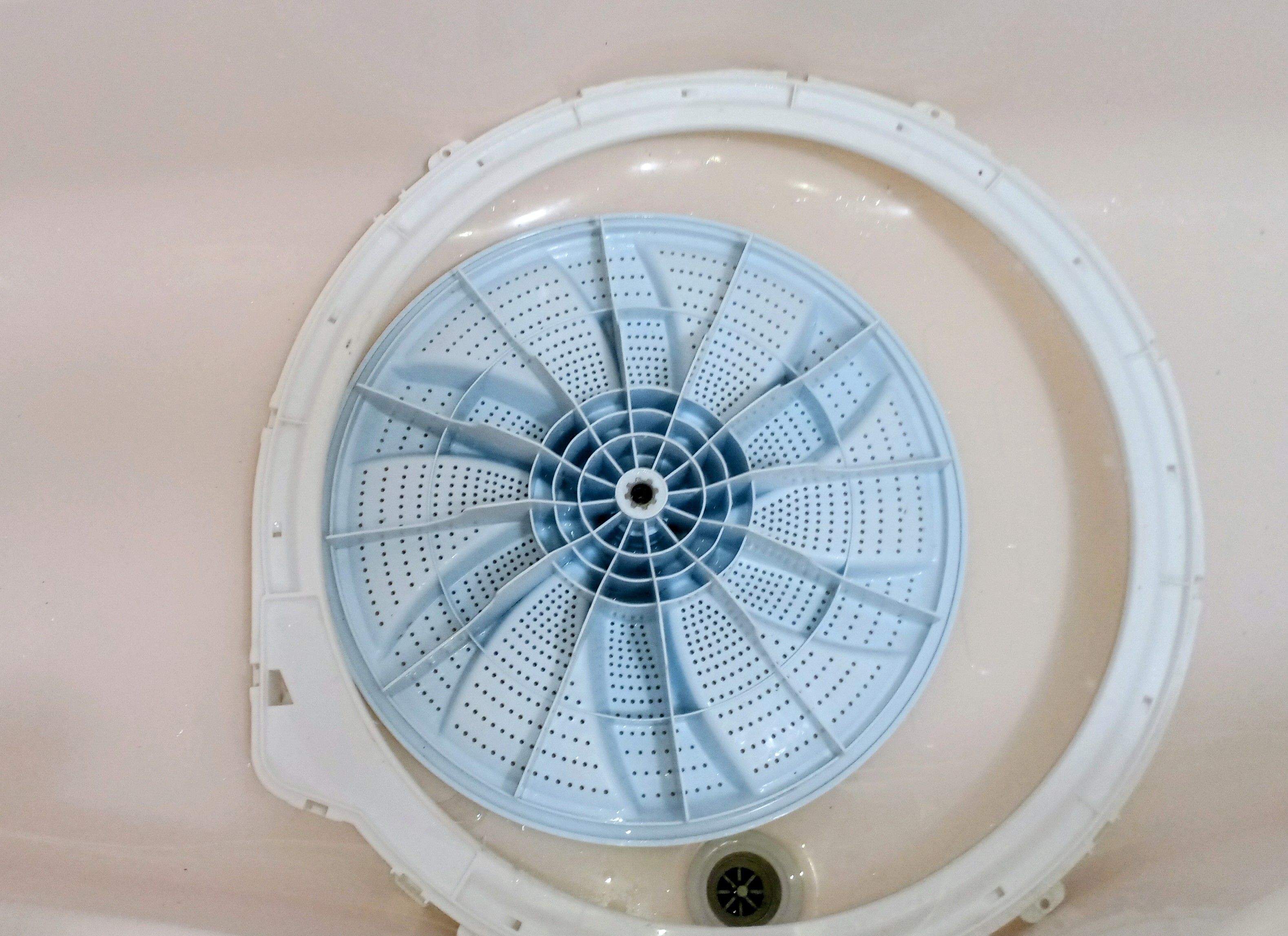 洗濯機『縦型』クリニング（4.5～12キロ)の画像