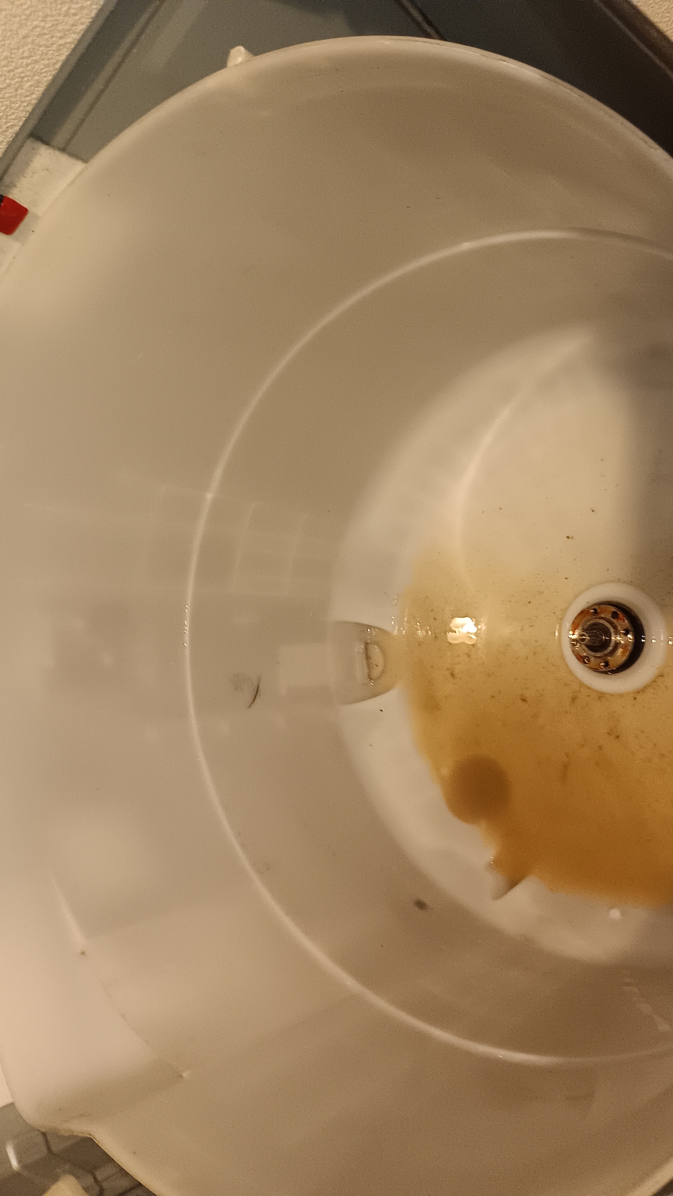 洗濯機『縦型』クリニング（4.5～12キロ)の画像