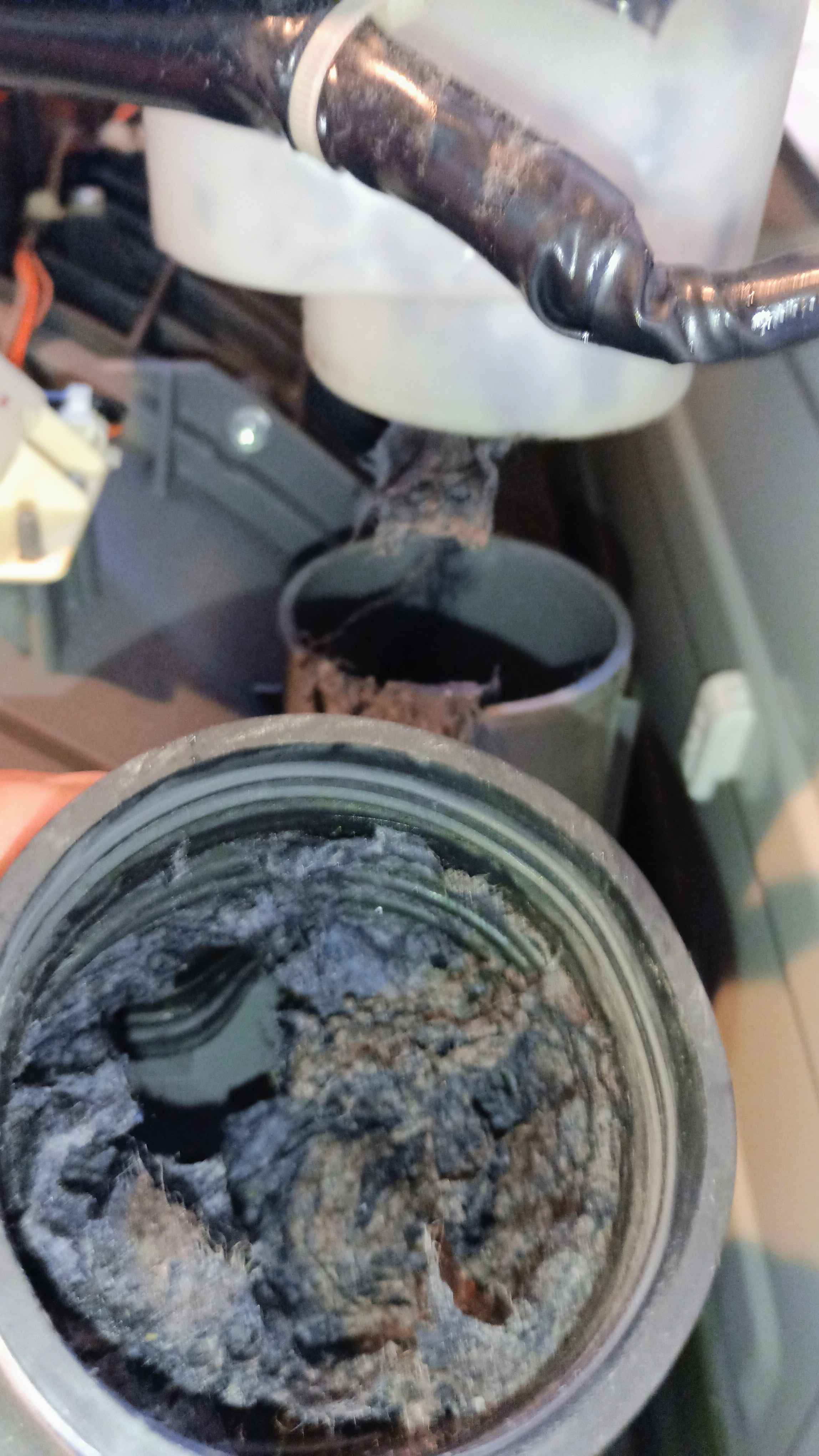 洗濯機『ドラム式』クリニング（～13キロ)の画像