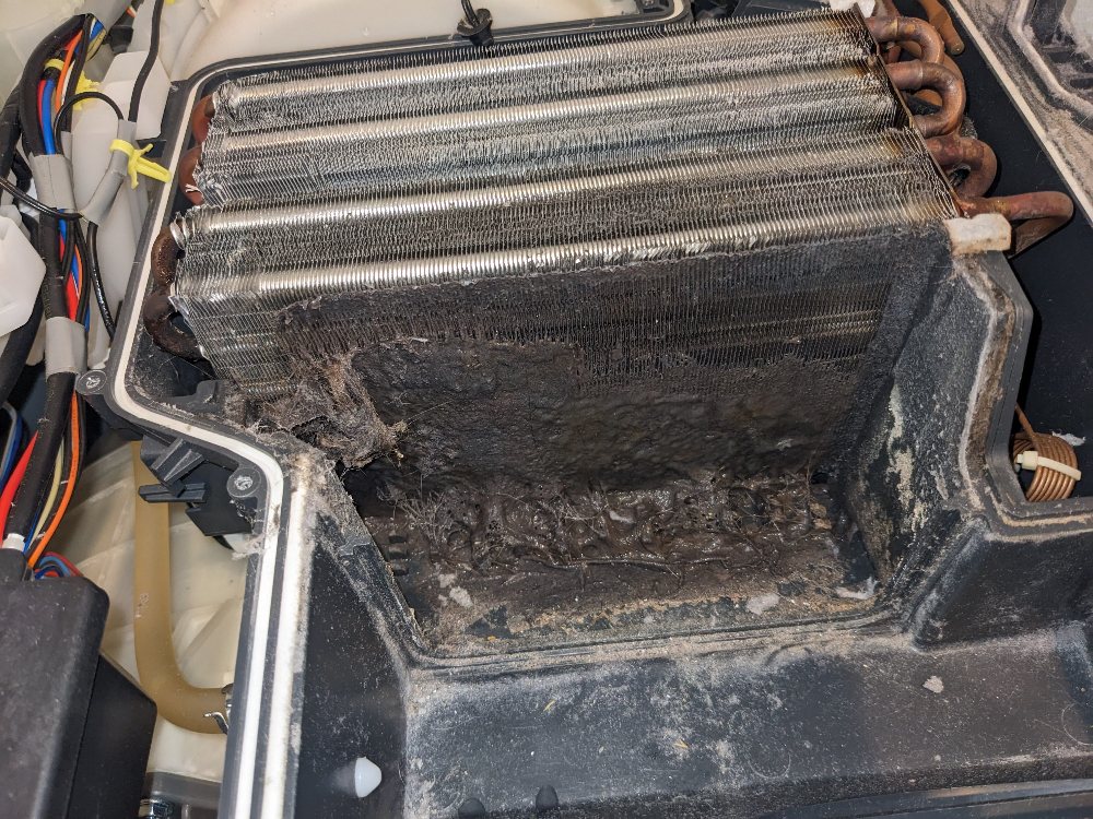 冬の大敵!乾燥機能をクリ－ニング!洗濯機『ドラム式』クリニング（～13キロ)の画像