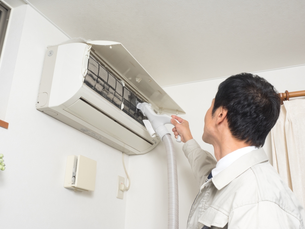 メニューの写真